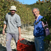 “Zingari nella vigna di Gad”, che trovata!