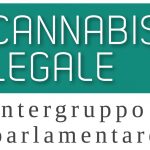 La legalizzazione della cannabis per pensionare l'antistorica guerra alla droga La legalizzazione della cannabis per pensionare l'antistorica guerra alla droga