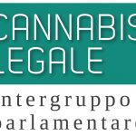 La legalizzazione della cannabis per pensionare l'antistorica guerra alla droga